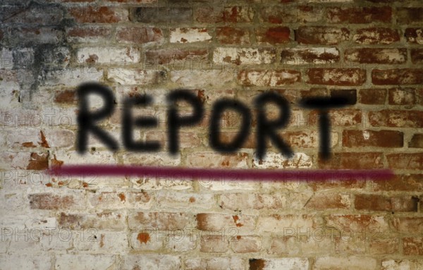 Report Concept