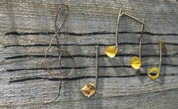 Musical notes conception. Wooden musical notes and leaves