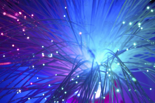 Multicolored optical fibers