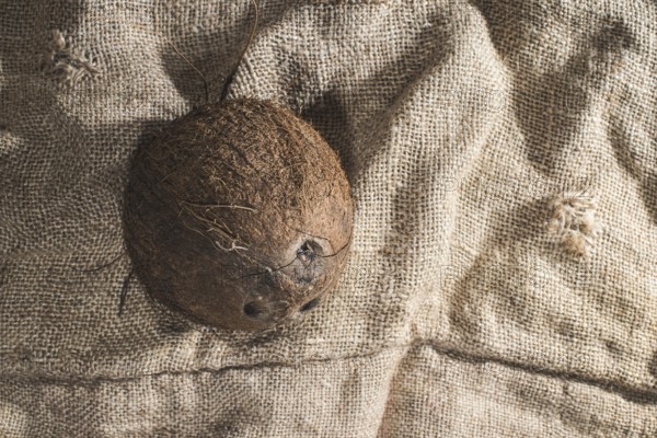 Coconut on burlap. Close up