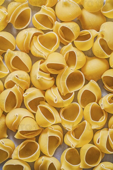 Pasta shells background food and drink concept