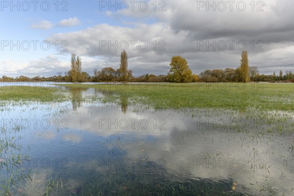 Flooded meadow after heavy rains. Autumn landscape. Bas-Rhin, Collectivite europeenne d'Alsace, Grand Est, France, Europe