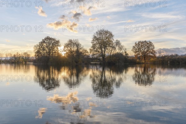Trees reflected in a flooded meadow after heavy rains. Autumn landscape. Bas-Rhin, Alsace, Grand Est, France, Europe