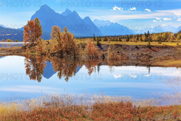 Smooth water of artificial lake Abraham reflects the Rocky Mountains. Sunny day in October. Gorgeous Canadian autumn