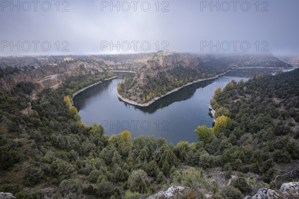 Meander, Las Hoces del Río Duratón Natural Park, Segovia province, Spain, Europe