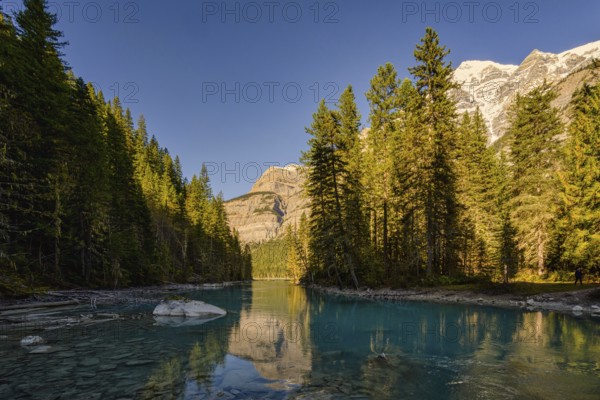 Beautiful autumn landscape scene in mountain in background in Jasper National Park west Canada with birds