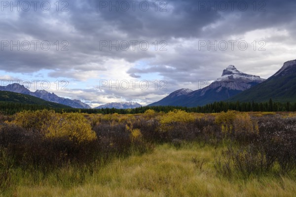Beautiful autumn landscape scene in mountain in background in west Canada