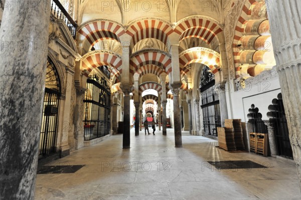 La Mezquita, Mosque, Cathedral of Cordoba, Cordoba, Andalusia, Spain, Europe, Large hall with columns and decorative arches in red and white stripes, Europe