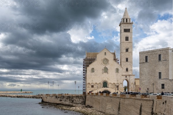 Details of the facade of the cathedral in Trani, Italy, Europe