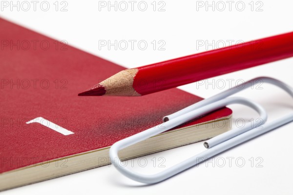 Organizer for the month of January, red pencil and white paperclip on the white table
