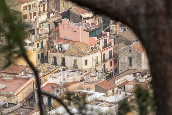 The view of sicilian houses through the tree, Italy, Europe