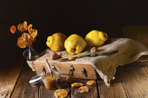 Fresh and tasty Quitte (Cydonia oblonga)