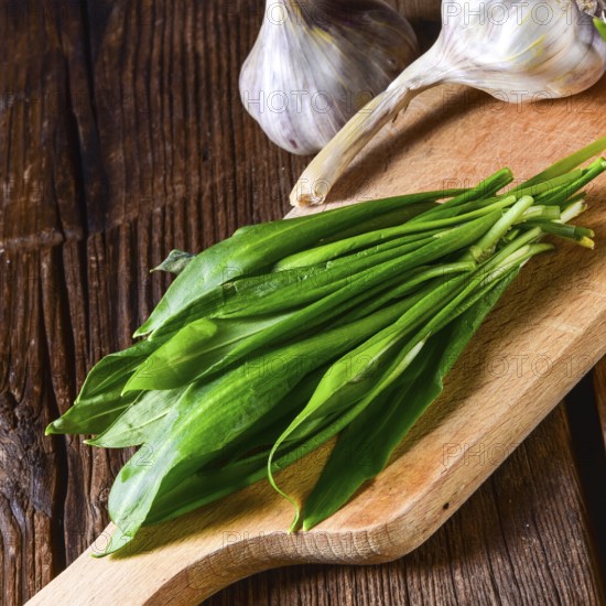 Fresh and tasty wild garlic
