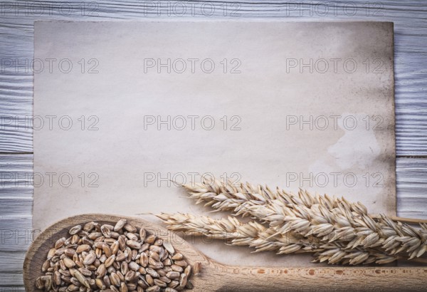 Wheat rye ears corn wooden spoon vintage paper on wood board food and drink concept