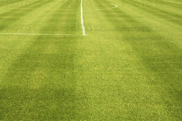 Area white lines on football green grass field