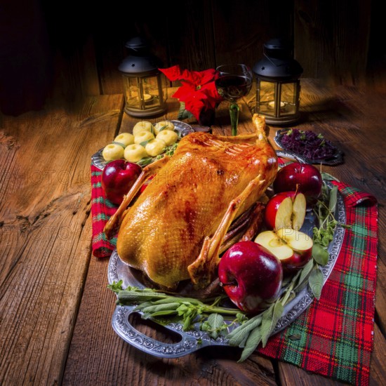 Festive stuffed roast goose with red cabbage and dumplings