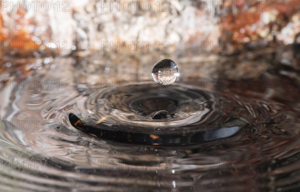 Water drops in nature environment. Wooden background