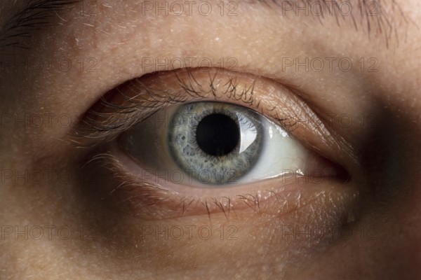 Blaues menschliches auge nahaufnahme