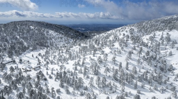 Drone aerial scenery of mountain snowy forest landscape covered in snow. wintertime Troodos mountains Cyprus
