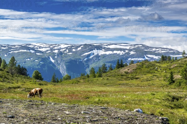 Beautiful landscape in Norway with Summer weather and sunshine. Beautiful landscape in Norway with summer weather and sunshine