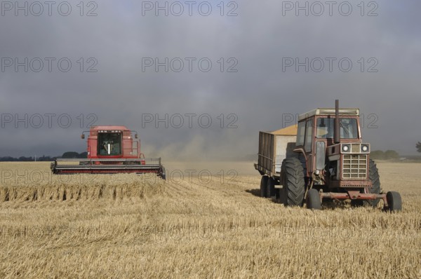 TIMARU, NEW ZEALAND, CIRCA FEBRUARY 2010: Farmers harvest a crop of wheat, South Canterbury, New Zealand, Oceania