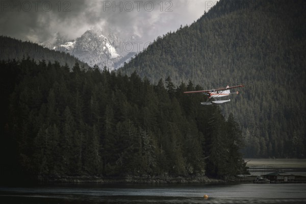 A seaplane flying over a forest and water with misty mountains in the background in Tofino on Vancouver Island in British Columbia, Canada, North America