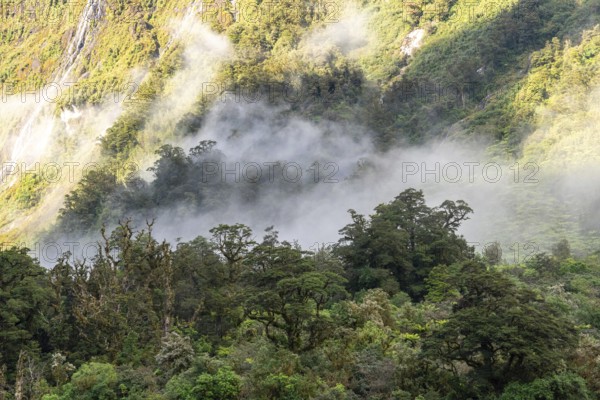 A new morning dawning at Doutful Sound, clouds hanging low in the mountains, South Island of New Zealand