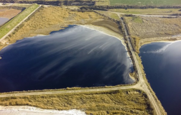 Offstein sewage ponds, ponds of a sugar factory in Rhineland-Palatinate, bird sanctuary, Offstein sewage ponds, Worms district, Rhineland-Palatinate, Germany, Europe