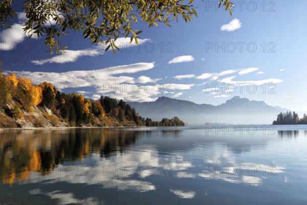 Autumn landscape at the Forggensee in Allgäu, Bavaria, Germany, with view of the Alps. Autumn landscape with a view of the Alps at Lake Forggen in Allgäu, Bavaria, Germany, Europe