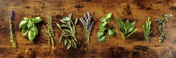 Fresh aromatic herbs, overhead flat lay panorama on a rustic wooden background. Bunches of rosemary, basil, thyme and various other culinary plants