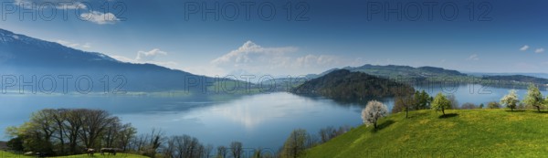 beautiful panorama landscape with green fields and blossoming flowers and trees and mountains in the background in central Switzerland on Lake Zug