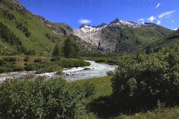 A clear river flows through a green valley, surrounded by wooded mountain slopes and snow-capped peaks under a bright blue sky, Rhone, Gletsch, Canton Valais, Switzerland, Europe
