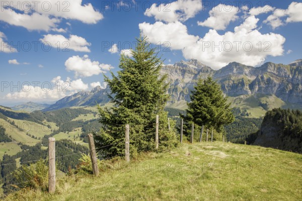 Meadow with trees, mountains in the background and clouds in the sky, Spicher with view to the Säntis, Alpstein, Appenzell, Switzerland, Europe