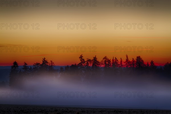 Evening sunset in the Harz Mountains