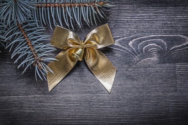 Christmas bow pine tree branch on wooden board holiday concept