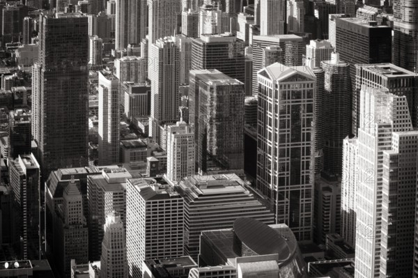 Chicago skyscrapers late in the afternoon