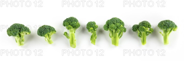 Broccoli panorama, many florets, shot from the top on a white background
