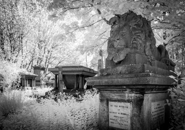 Graves in Highgate Cemetery London in black and white