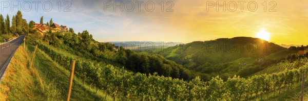 Landscape panorama of vineyard on an Austrian countryside with a church in the background in Kitzeck im Sausal. Tourist destination
