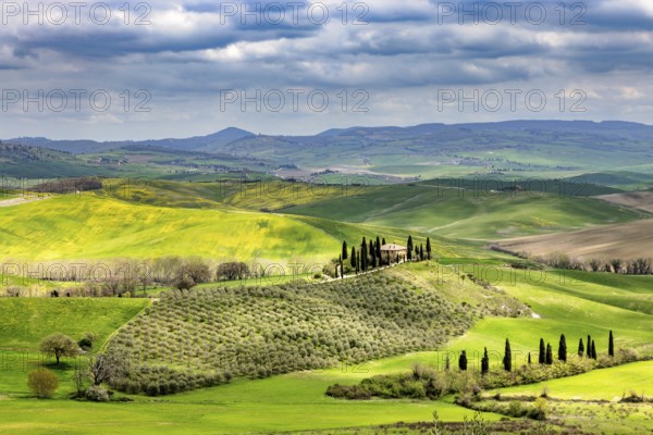 House with cypresses in spring in Val d Orcia, Tuscany, Italy, Europe