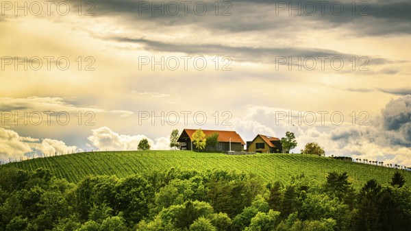 Austria vineyards in spring landscape. Leibnitz area in south Styria, wine country. Tuscany like place and famous tourist spot