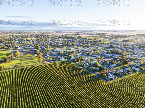 Autumn sunset around the rural country town of Penola in the Coonawarra wine region in South Australia, Australia, Oceania