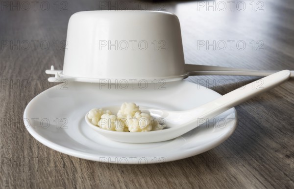 Kefir grains on a white spoon and a white sieve