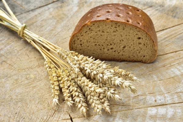 Cereal, wheat and bread on a wooden table. Different types of bread on wood