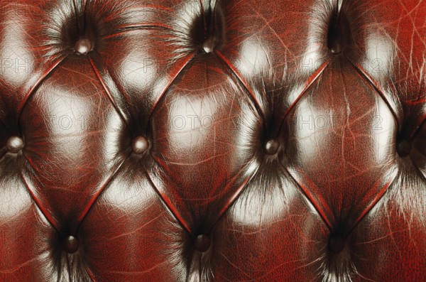 Close Up Fragment Of Genuine Leather Upholstery