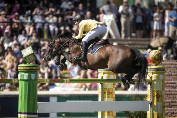 Yuri Mansur of Brazil and riding QH Alfons Santo Antonio compete in the first round of the 1.60m CPKC International during the Spruce Meadows Masters, presented by Rolex, in Calgary, Alberta, Canada, North America