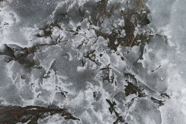 Nature, melting ice pattern, Province of Quebec, Canada, North America
