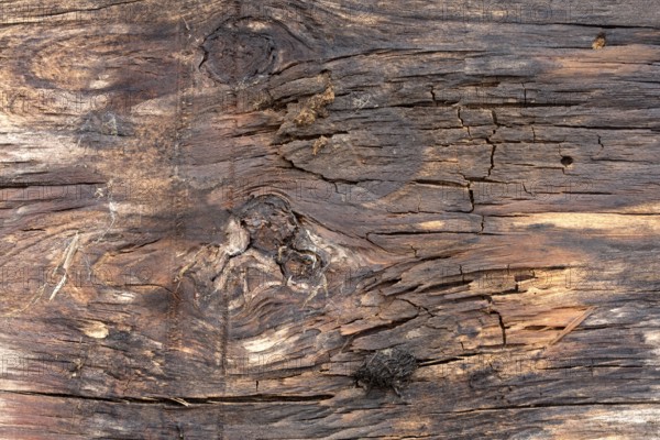 Alter hölzerner Hintergrund mit Struktur im Detail