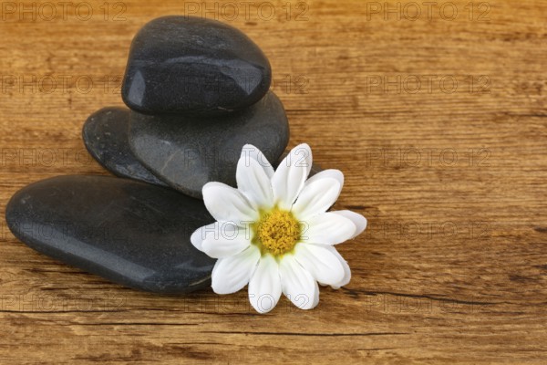 Spa-Steine und Blumenblüte auf hölzernem Hintergrund
