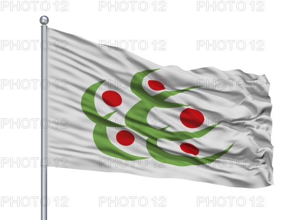 Kitakata City Flag On Flagpole, Country Japan, Fukushima Prefecture, Isolated On White Background